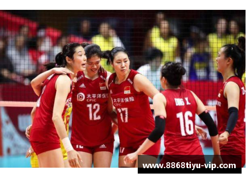 中国女排新星：现役球员风采