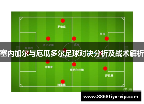 塞内加尔与厄瓜多尔足球对决分析及战术解析